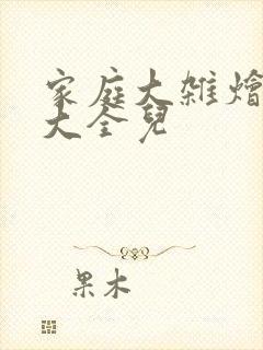 家庭大杂烩小说大全儿