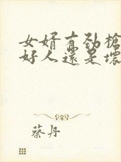 女婿有劲枪枪是好人还是坏人