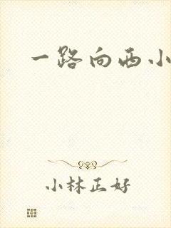 一路向西小说