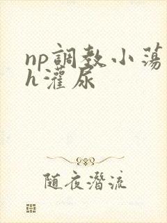 np调教小荡货h灌尿