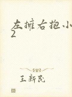 左拥右抱小1V2封面