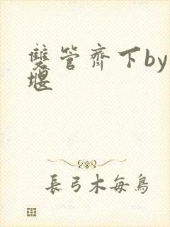 双管齐下by十堰封面