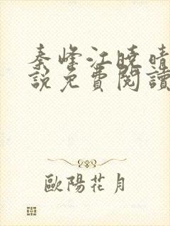 秦峰江晓晴的小说免费阅读