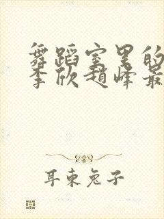 舞蹈室里的景色李欣赵峰最新章节