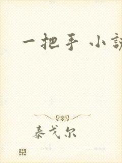 一把手 小说