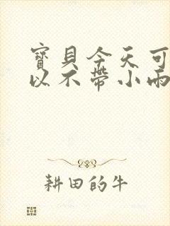 宝贝今天可不可以不带小雨伞