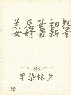 叶辰萧初然上门女婿最新章节封面