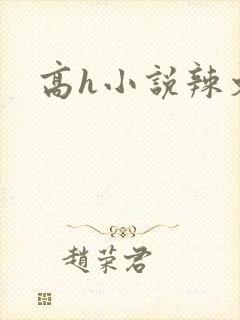 高h小说辣文