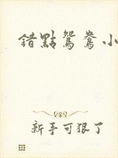 错点鸳鸯小说
