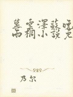 慕云泽苏晚晴夏雨桐小说免费阅读