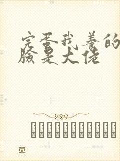 完蛋我养的小白脸是大佬