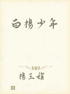 白杨少年封面