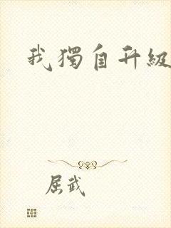 我独自升级2封面