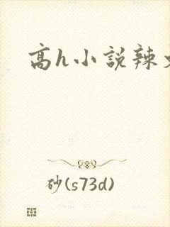 高h小说辣文封面