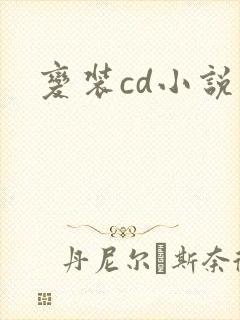 变装cd小说