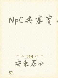 NpC共享宝贝封面