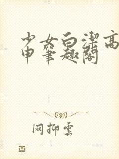 少女白洁高义王申笔趣阁