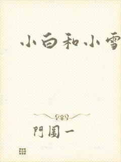 小白和小雪