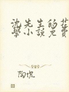 沈先生的花式教学小说免费