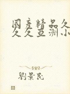 国产精品久久久久久亚洲小说封面