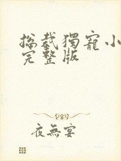 总裁独宠小娇妻完整版