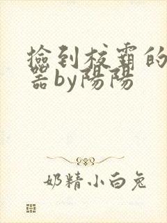 捡到校霸的遥控器by阳阳