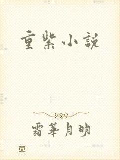 重紫小说