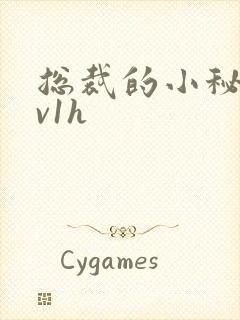 总裁的小秘书1v1h