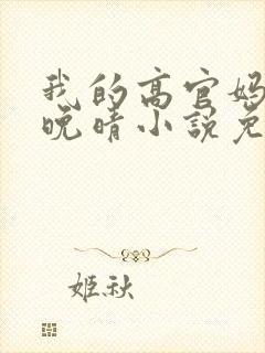 我的高官妈妈苏晚晴小说免费阅读