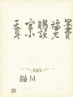 天官赐福墨香铜臭小说免费阅读无弹窗