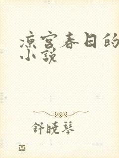 凉宫春日的忧郁小说