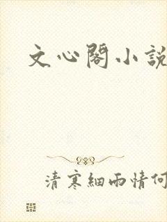 文心阁小说