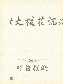 t大校花沉沦封面