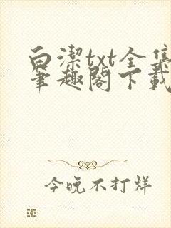 白洁txt全集笔趣阁下载封面