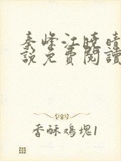 秦峰江晓晴的小说免费阅读