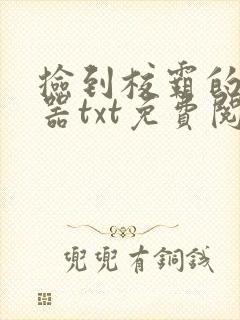 捡到校霸的遥控器txt免费阅读by阳阳