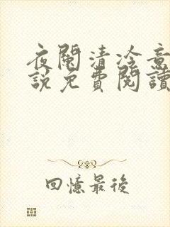 夜阑清冷意欢小说免费阅读