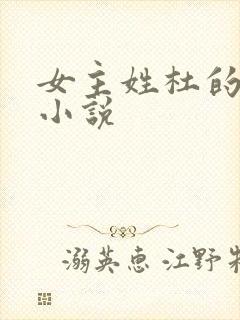 女主姓杜的穿越小说封面