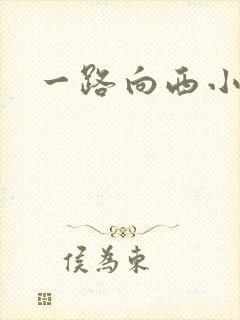 一路向西小说