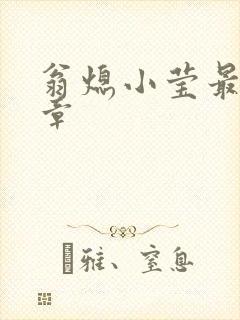 翁熄小莹最新节章封面