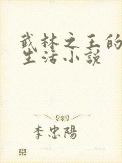 武林之王的退隐生活小说