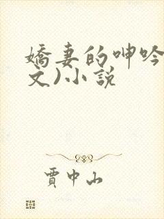 娇妻的呻吟(辣文)小说