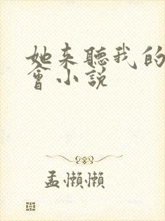 她来听我的演唱会小说