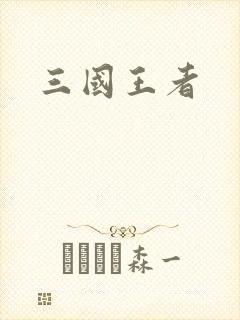 三国王者