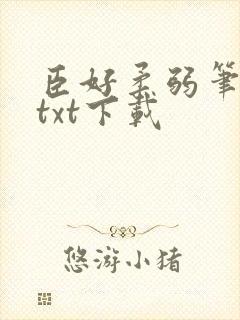 臣好柔弱笔趣阁txt下载