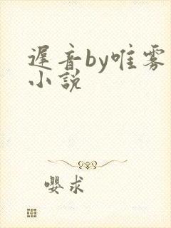 迟音by唯雾的小说