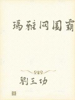 玛雅网图霸天下