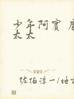 少年阿宾 房东太太封面