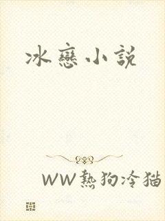 冰恋小说封面