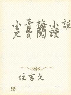 小青梅小说全文免费阅读